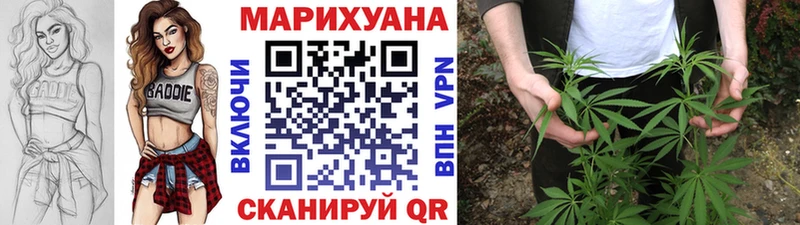 Канабис план Ахтырский